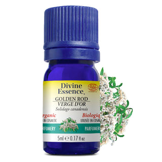 Golden Rod Organic