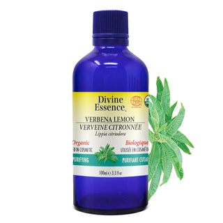 Verbena Lemon Organic